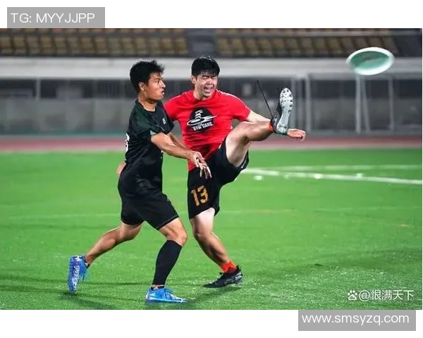 杭州飞盘队意识对比深度解析与战术应用探讨